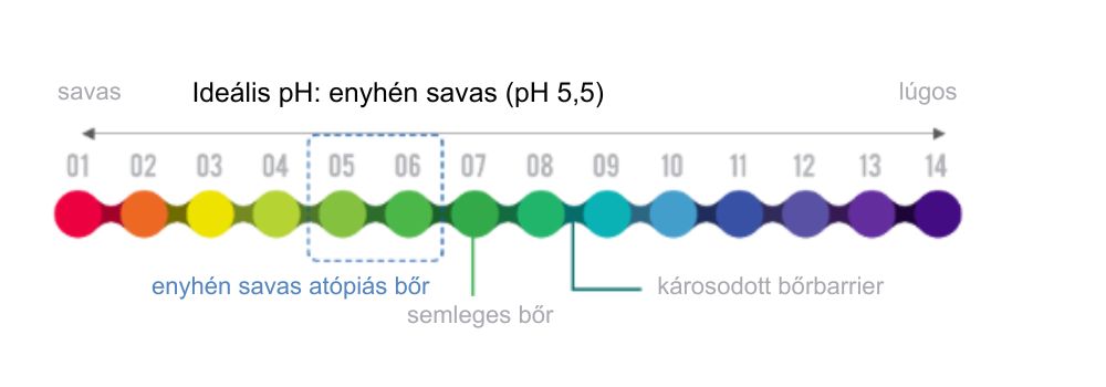 byderm3.jpg